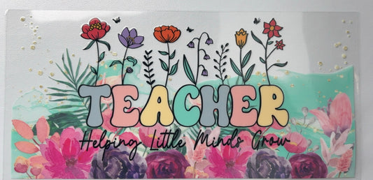 Teacher